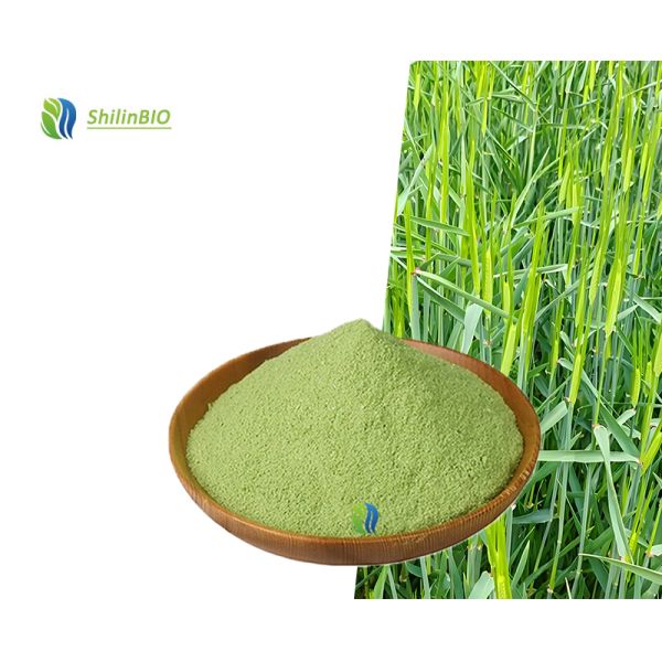 Bulk Superfood Wheat Grass Powder Food Grade Nutritional Supplement WheatGrass Powder Super Greens Wheat Grass Juice Powder