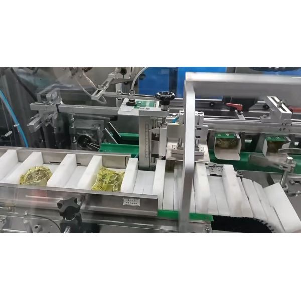 Automatic Bearing Cartoning Machine with Servo Feeding and Industrial Packaging Automation System