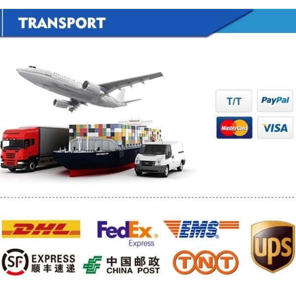 OEM Customized Precision Machine Prices Machinery Parts Die Casting Spare Part for Markets