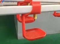 Boireuse à volaille entièrement automatique, Boireuse à poulet de poulet sur mesure