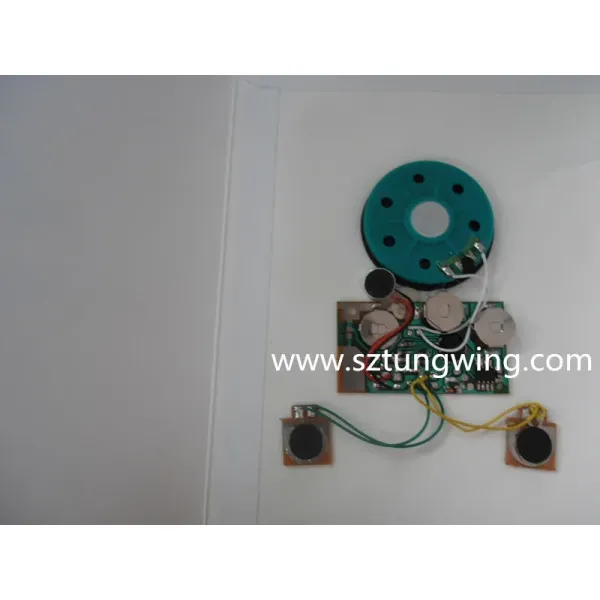 Customizable Design Recordable Module with 60s Recording Time and Clear Voice Quality for Greeting Cards