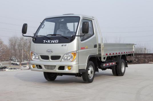 T-king diesel engine 2ton light duty cargo truck mini lorry truck