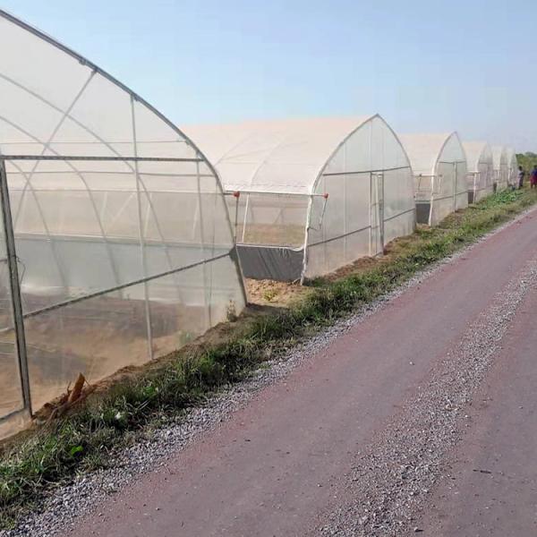 Estufa do túnel do filme da casa da aro do crescimento vegetal da agricultura