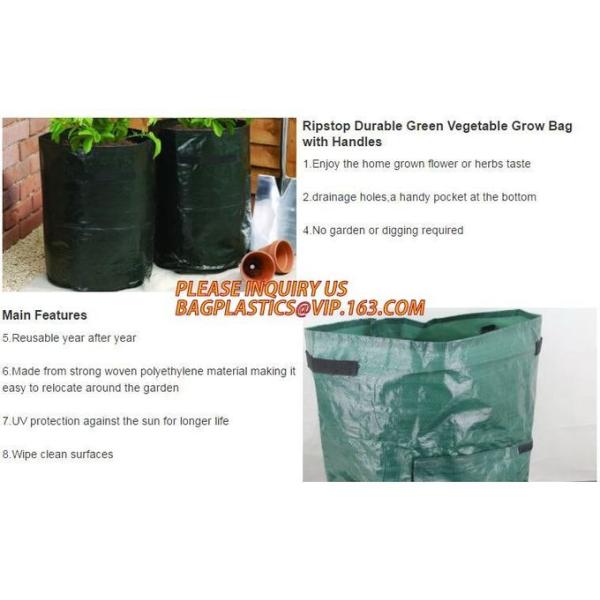 Smart Grow Bags For Potato/Plant Container/Aeration Fabric Pots With Handles Fabric Plants Pots with Handles, Indoor