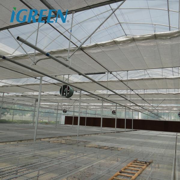 Équipement agricole pour la culture de tomates, ventilation de toit, serre multi-travées