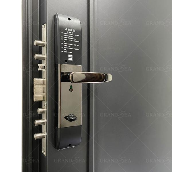 France Style  Advanced Stainless Steel Door Good Quality Superior a Class Locksystem Israel Security Door