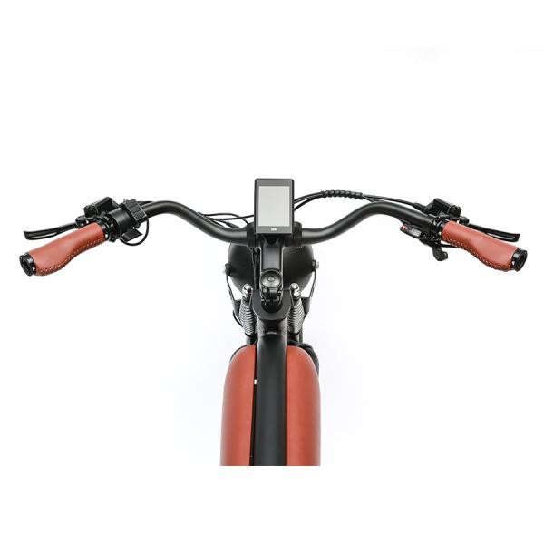 48V750W Bafang Motor Electric Bike DOMANCA Customized Fat Tire Electric Motorcycle