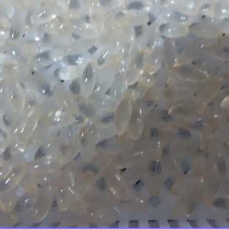 Aluminium Alloy Softgel 12 Inch Capsule Mold Paintball Die Roll 0~5 Rpm