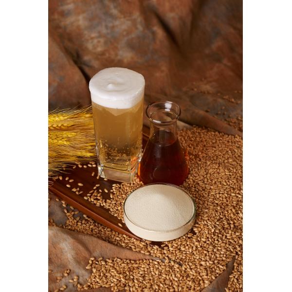 Энзимы качества еды процесса осахаривания формы порошка для делать пива