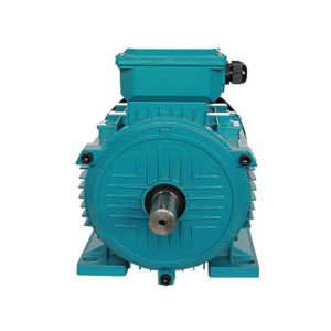 Compact Three-Phase Induction Pump Motor 0.75KW 220/380V 1390 RPM Waterproof Flange Mount IE2