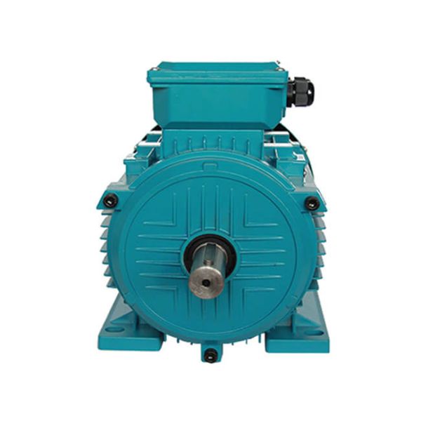 Compact Three-Phase Induction Pump Motor 0.75KW 220/380V 1390 RPM Waterproof Flange Mount IE2