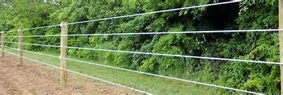 Cerca elétrica contínua Wire de WRT201 SS para animais