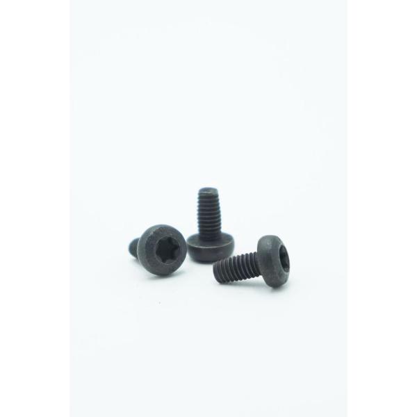 Torx Socket Head screw Torx Socket Head Screw Нержавеющая сталь Машинные винты Противоугонные винты