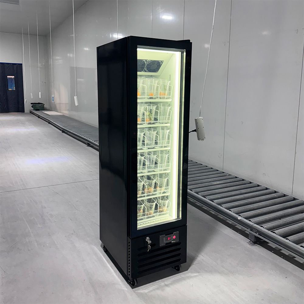 Commercial Glass Door Freezer Providing Durable Construction and Cooling for Daily in Supermarkets Cafe and Ice Cream Retail Settings