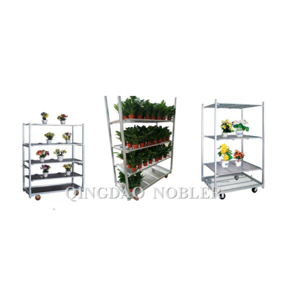 Поверхностное покрытие датской вагонетки контейнера горшечного растения тележки цветка сада горячее гальванизированное