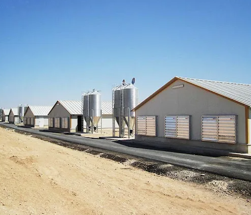 Fully Automated Steel Structure Poultry House with Energy-Saving Ventilation and Large-Scale Design