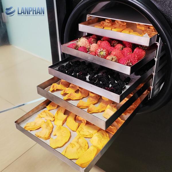4-6Kg Household Vacuum Freeze Dryer Machines for Food Vegetable Fruit Milk