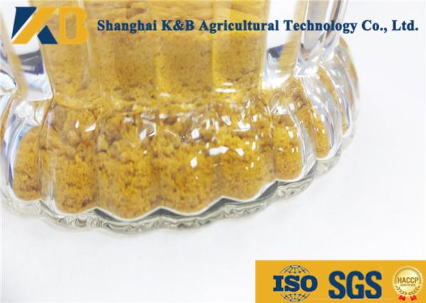 No Visible Impurity Pure Vegetable Protein Corn Gluten Protein Powder