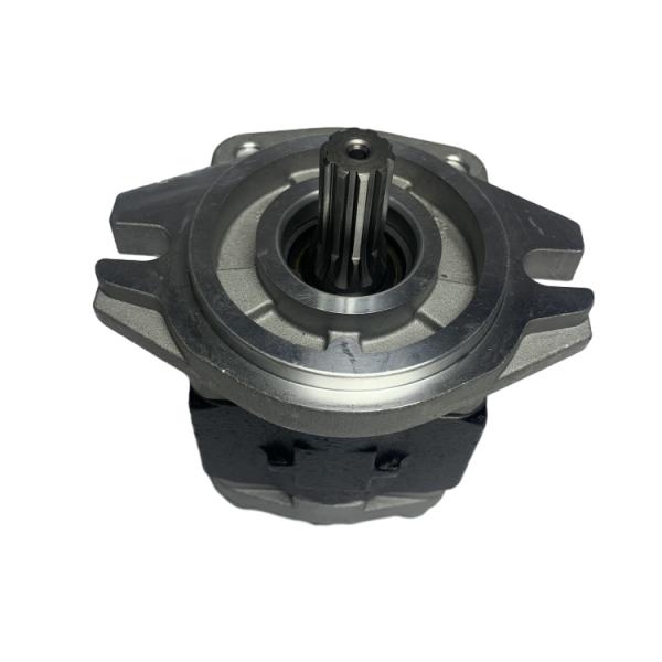 Energy Mining H25S7-10011 Hydraulic Pump 10 Spline with Long Working Life and Steel Material for CPC(D)20-35 Forklifts