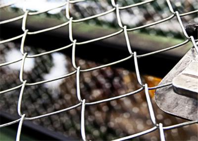 6m Standard Football Sports Fields Pvc Coated Gi Chain Link Fencing