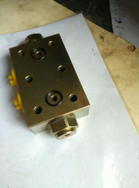 High quality Hydraulic Lock for XCMG truck mounted crane SQ16ZK4Q,XCMG truck crane spare parts
