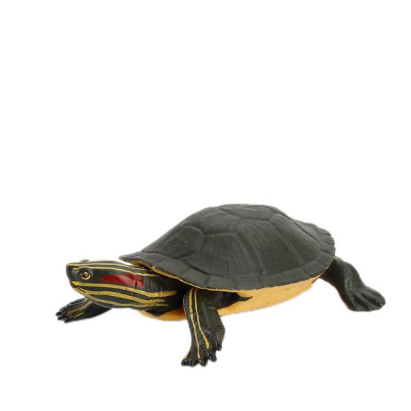 Educational Sea Animal Toy Set ASTM F963 And CPSIA Compliant - Shark Dolphin Octopus Turtle Assorted Colors