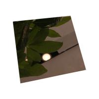Feuille d'acier inoxydable de miroir de revêtement de PVD avec l'éclat de longévité