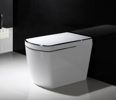 SL620 Toilet Cleaning Pressure Adjusting White/Silver Color Massage Modern Bidet
