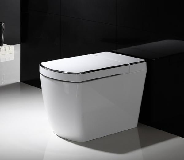 SL620 Toilet Cleaning Pressure Adjusting White/Silver Color Massage Modern Bidet