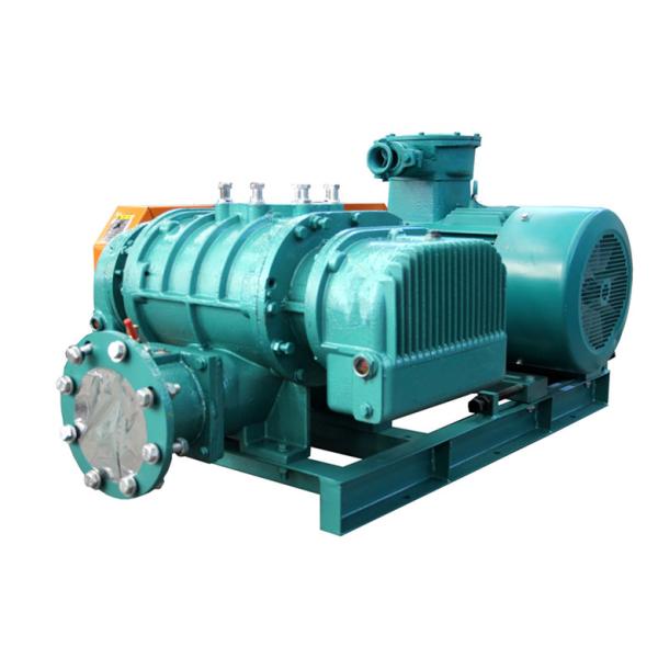 DN50 3 Lobe Roots Type Sewage Treatment Biogas Blowers