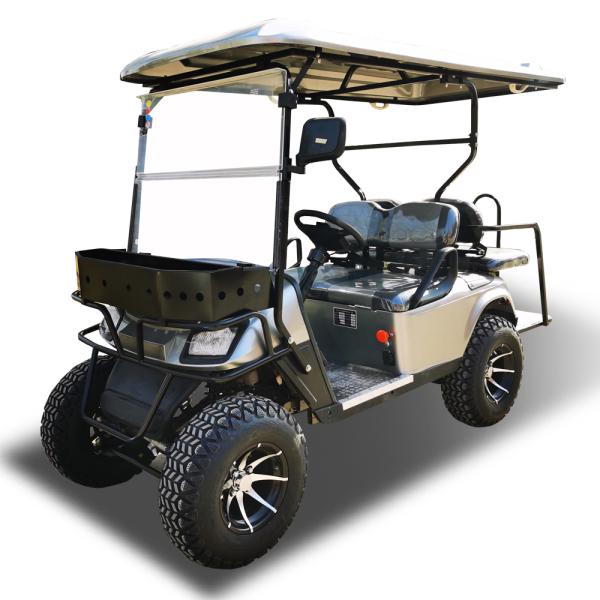 ОЭМ вся тележка гольфа электрического автомобиля ЭВ местности с задними фонарями фар СИД