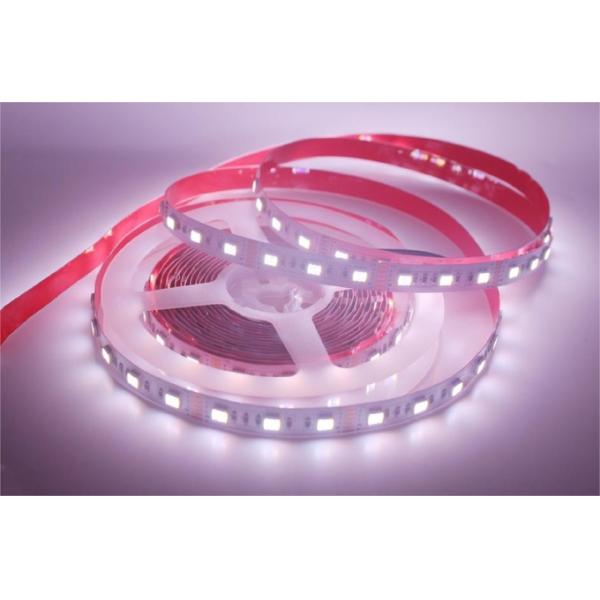 12mm RGB Led Strip SMD 5050 RGB CCT Adjustable Led Strip Light Multi Color