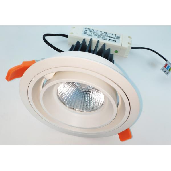 Grid Down Light Cree Chip Adjustable LED Spotlight IP40
