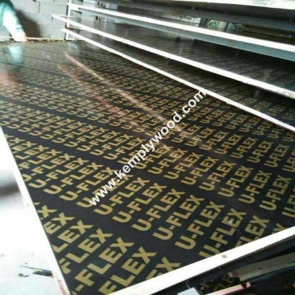 Cheap Film Faced Plywood for Middle East/Africa, One time hot pressed veneer film faced plywood