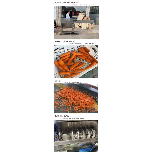 Electric Carrot Peeling Machine Vegetable Processing Equipment