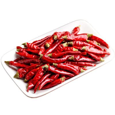 Rei Chili Small Size Best Seasoning do chapéu de 50000 SHU Red Bullet Chilli With