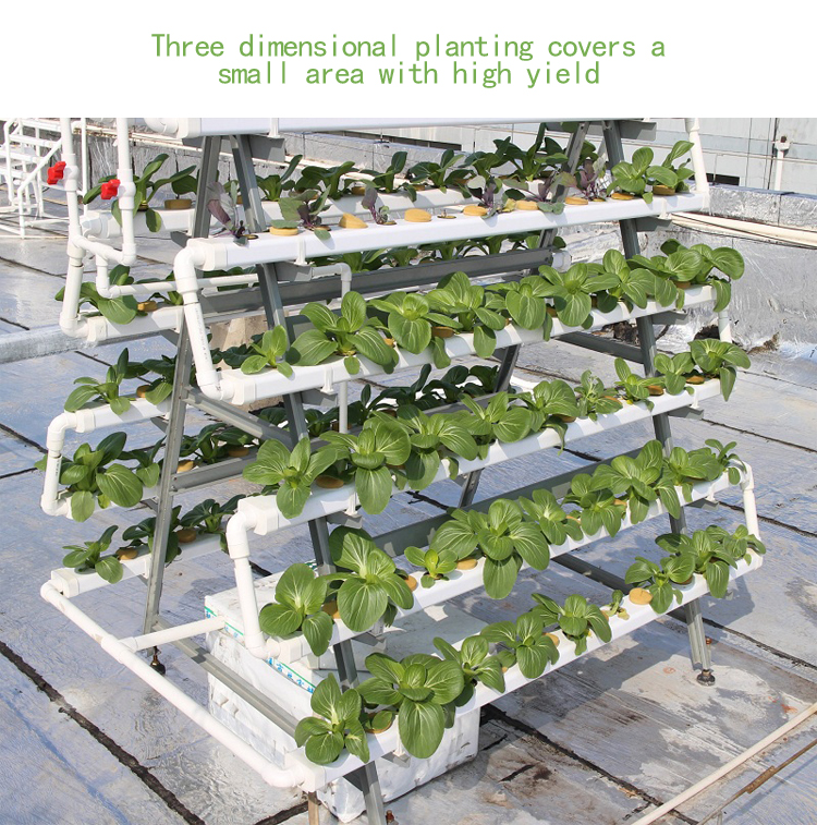 Подгонянная система крытой вертикали Soilless Hydroponic для огурца