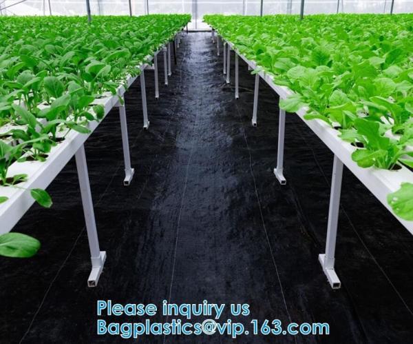 Weed control Mat, Ground Cover, Flower Bed, Mulch, Pavers, Edging, Garden Stakes, Weed Barrier,  Landscape