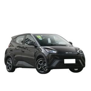 BYD EV