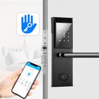 Norme intelligente de norme ANSI de serrure de porte de la haute sécurité TTT IC Digital