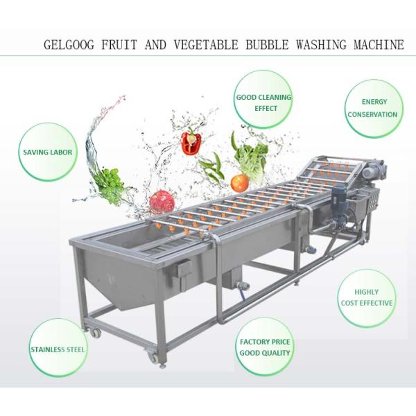 300kg/H Fruit Drying Grading Vegetable Washing Machine