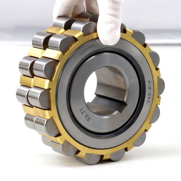 Eccentric Bearing 619 GSX Cylindrical Roller Bearing 619GSX Chrome Steel Bearing 85x151.5x34mm