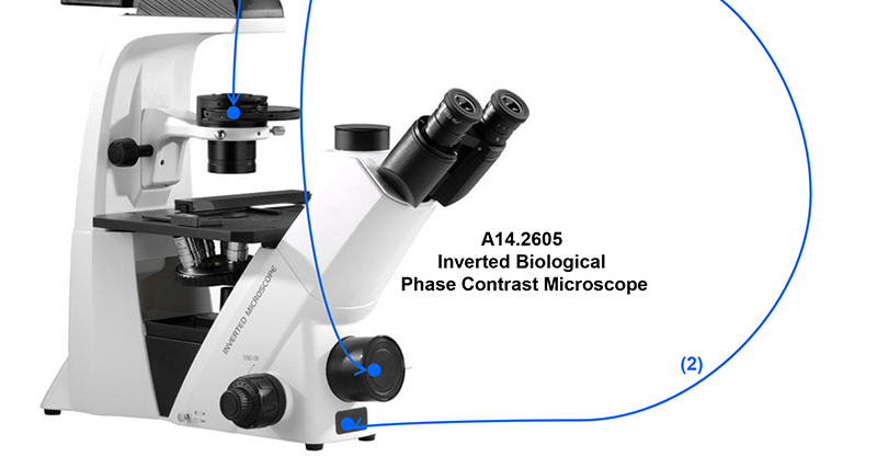 OPTO-EDU Trinocular перевернуло освещение биологического микроскопа WF10X PlA14.2605 Kohler