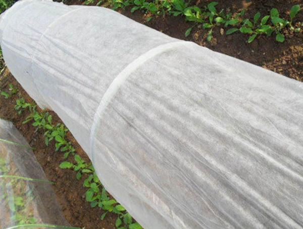 Sustainable Packaging Bags Fabric Spun-Bonded Nonwoven with Biodegradable Material