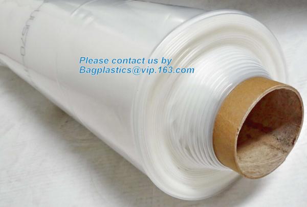 plastic film agriculture greenhouse,6 mil poly anti-uv plastic greenhouse film,Anti-fog UV resistant,mushroom,TOMATO PAC