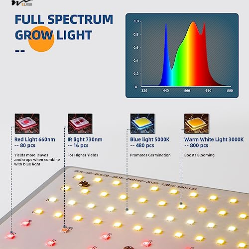Luz de crecimiento de las plantas LED 480W BU4800 para Daisy Chain LEDs regulables