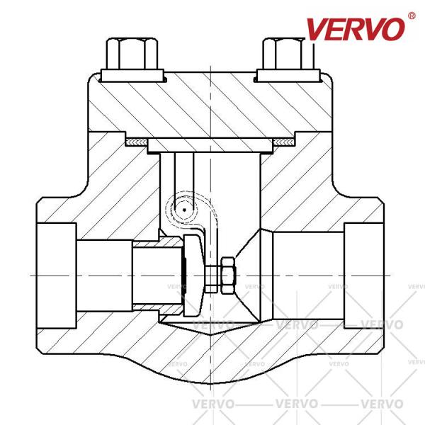 2 Inch ALLOY20 Forged Swing Check Valve Forge DN50 150LB SW Nrv Check Valve UNS N08020 Socket Weld swing Check Valve