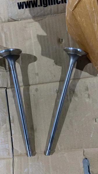 Encaixes de aço inoxidável 3800637 Kit Exhaust Valve do compressor de ar das peças de motor diesel