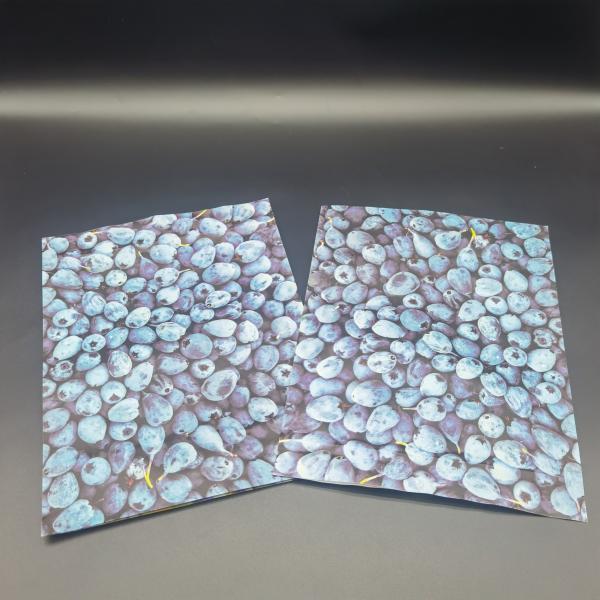 Custom Printed Compostable Stand Up Pouches CTP Printing Kraft Paper Pouches