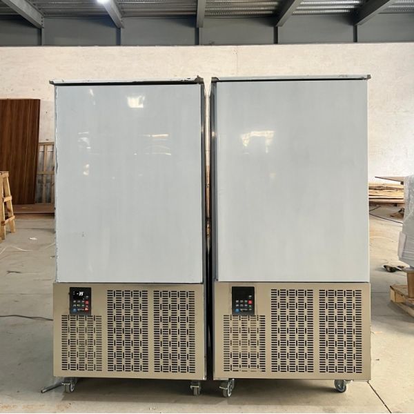Cold Room Blast Freezer Machine 10 Trays for Meat Fish Lobster